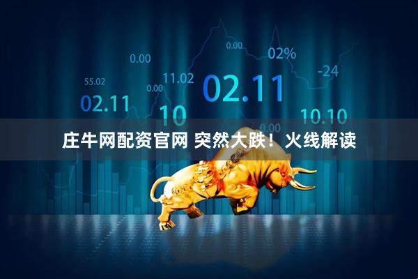 庄牛网配资官网 突然大跌!火线解读
