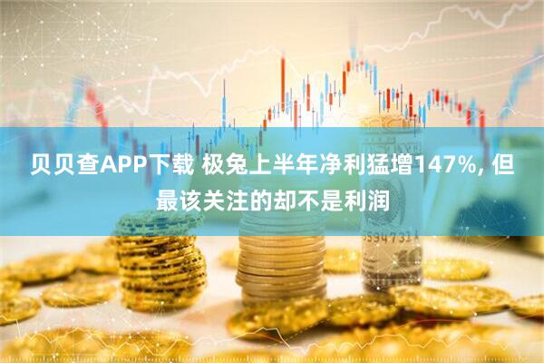 贝贝查APP下载 极兔上半年净利猛增147%, 但最该关注的却不是利润