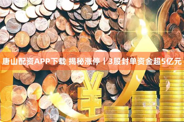 唐山配资APP下载 揭秘涨停丨3股封单资金超5亿元
