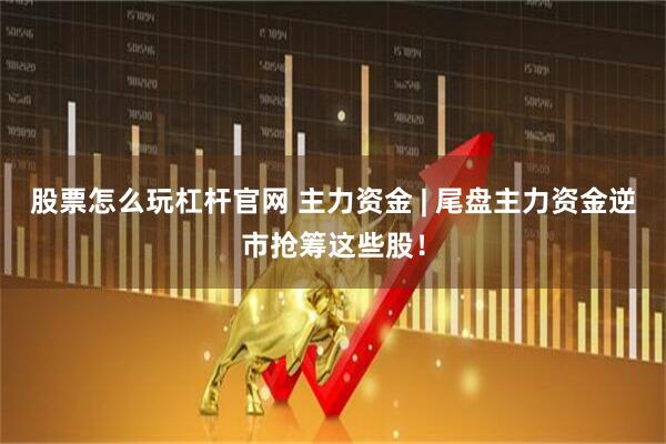 股票怎么玩杠杆官网 主力资金 | 尾盘主力资金逆市抢筹这些股!